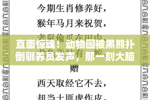 直面惊魂!动物园被黑熊扑倒驯养员发声,那一刻大脑空白,感谢救援与后续关怀和港彩二四六下一期号码预测与动物园黑熊咬死饲养员