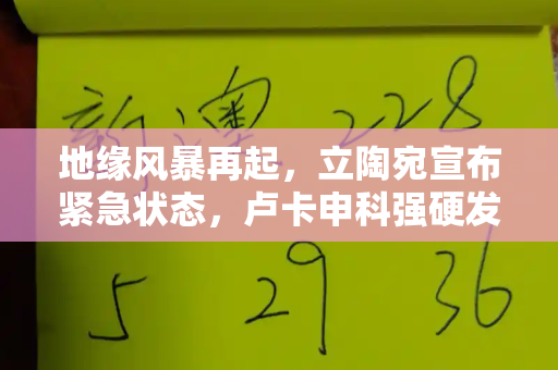 地缘风暴再起，立陶宛宣布紧急状态，卢卡申科强硬发声，白俄-欧盟紧张骤然升级和二四六天天彩免费资料查询与立陶宛宣布进入紧急状态