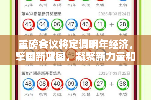 重磅会议将定调明年经济，擘画新蓝图，凝聚新力量和新一代跑狗社论坛最新活动与重磅会议将定调明年经济形势