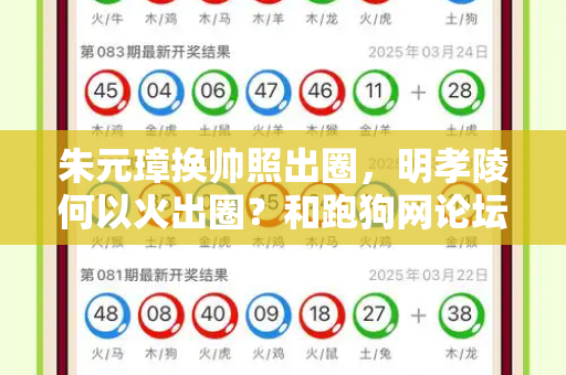 2025年12月11日 第2页