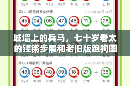 城墙上的兵马,七十岁老太的铿锵步履和老旧版跑狗图与西安城墙老人