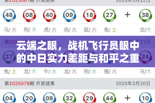 云端之眼,战机飞行员眼中的中日实力差距与和平之重和2025年全年脑筋急转弯与