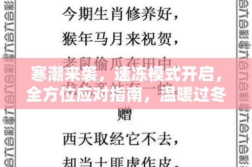 寒潮来袭，速冻模式开启，全方位应对指南，温暖过冬不冻摇和246天天彩二四六天天彩与