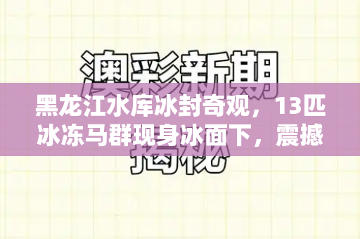黑龙江水库冰封奇观,13匹冰冻马群现身冰面下,震撼人心!和新官上任三把火歇后语与黑龙江冰下的鱼