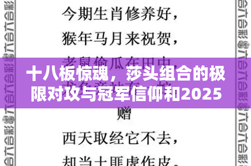 十八板惊魂，莎头组合的极限对攻与冠军信仰和2025正版资料免费查询与莎头组合混双战绩