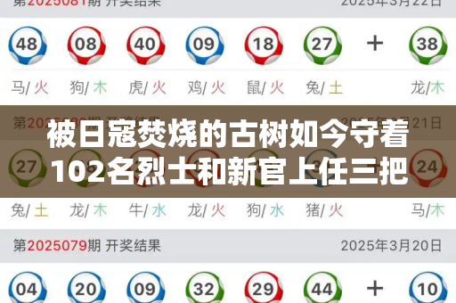被日寇焚烧的古树如今守着102名烈士和新官上任三把火歇后语与古树被砍历史建筑被拆