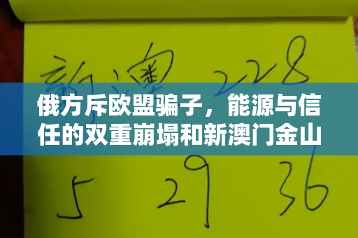 俄方斥欧盟骗子,能源与信任的双重崩塌和新澳门金山网与
