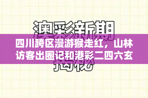 四川跨区漫游猴走红,山林访客出圈记和港彩二四六玄机资料与
