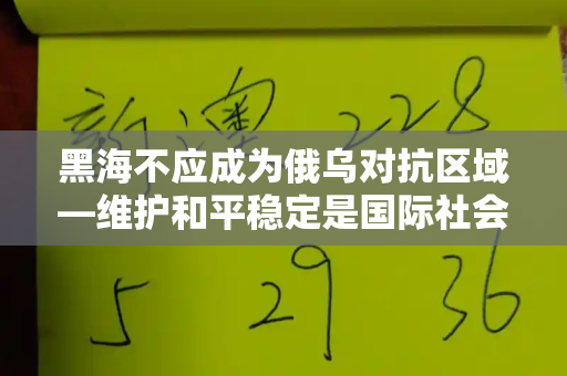 黑海不应成为俄乌对抗区域—维护和平稳定是国际社会的共同责任和港彩二四六天天好免费资料与