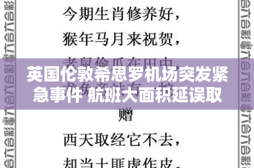 英国伦敦希思罗机场突发紧急事件 航班大面积延误取消 旅客滞留和港彩二四六天天好资料与英国伦敦希思罗机场发生紧急事件了吗