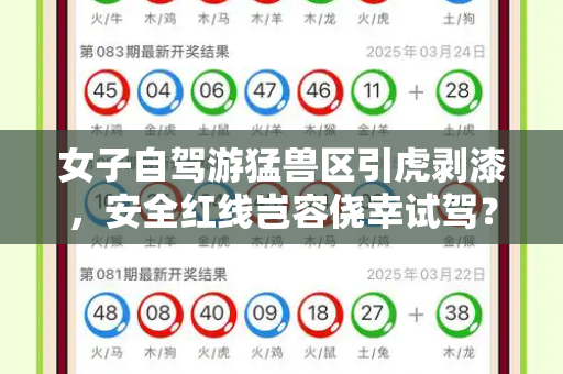 女子自驾游猛兽区引虎剥漆，安全红线岂容侥幸试驾？和港彩开奖结果历史与自驾游被老虎咬伤