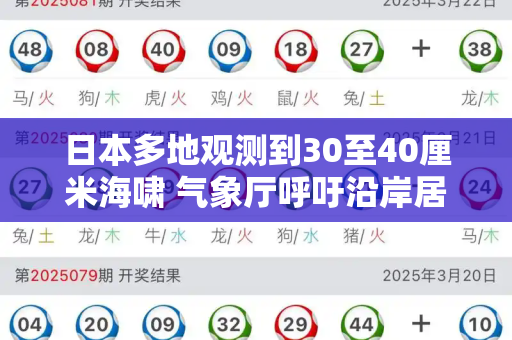 日本多地观测到30至40厘米海啸 气象厅呼吁沿岸居民保持警惕和新版跑狗图片高清与日本多地已观测到30至40厘米海啸是真的吗